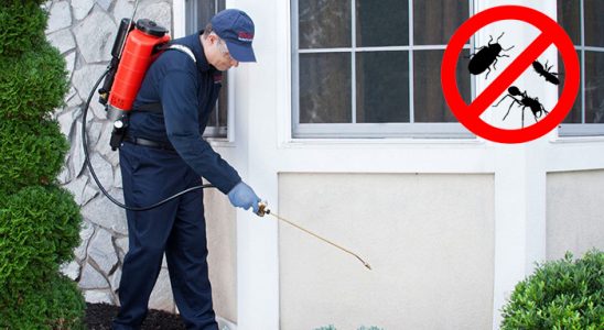 Kıbrıscık Hamam Böceği İlaçlama böcek ilaçlama ve haşere kontrolü — ilaclama-tr.com
